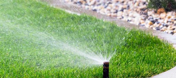 Watering restriction schedule for Marion County FL