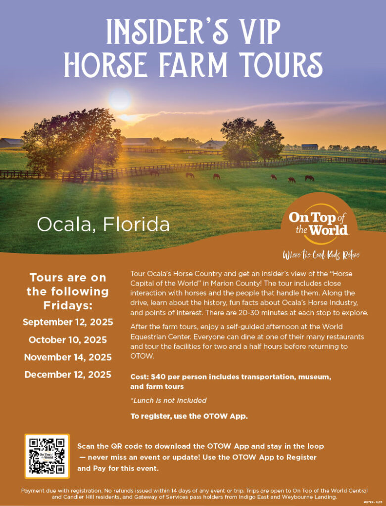Insider's VIP Horse Farm Tours